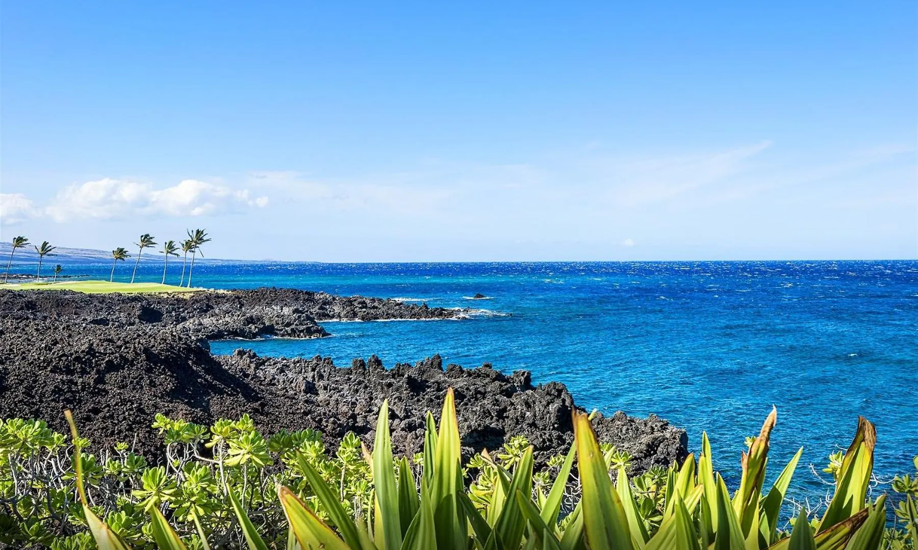 10G Halii Kai Vila Waikoloa 0*,